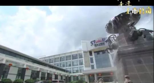 【合作伙伴】司太立 上市點燃創(chuàng)新之路